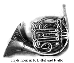 triple horn